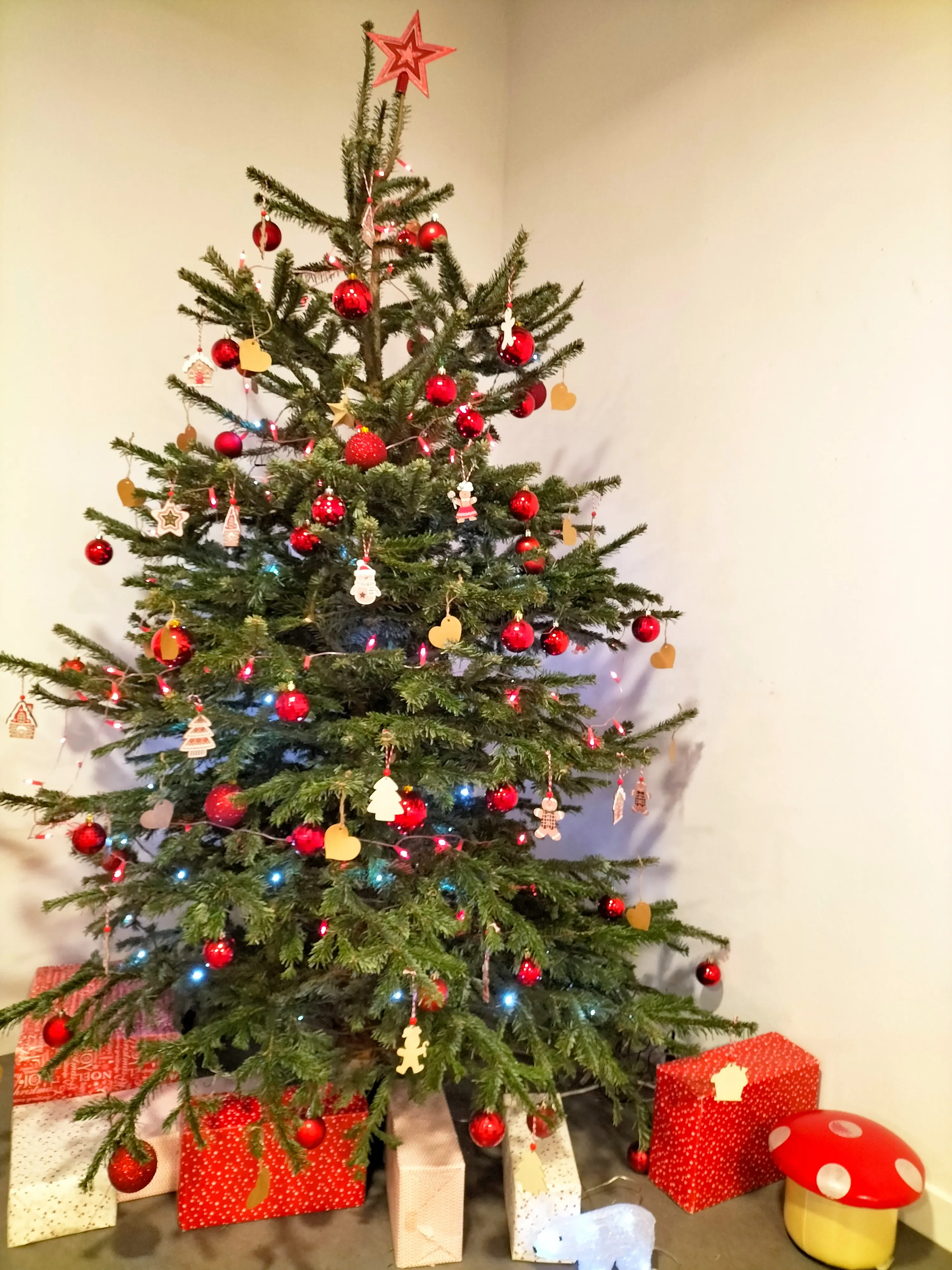sapin.webp
